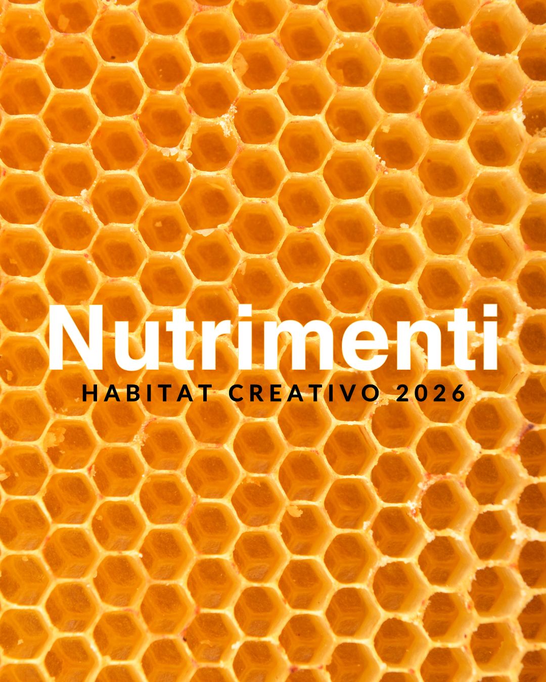 Representative overview image of Nutrimenti_habitat creativo 2026 – Associazione Demetra